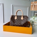 Louis Vuitton SPEEDY 25