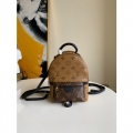 LOUIS VUITTON PALM SPRINGS MINI NEW EDITON