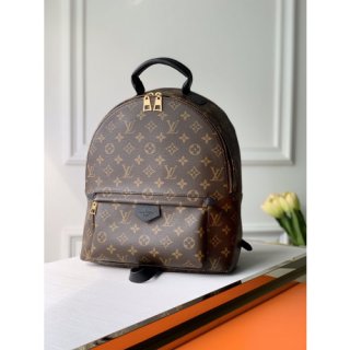 LOUIS VUITTON PALM SPRINGS MM NEW EDITION