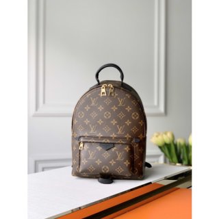 LOUIS VUITTON PALM SPRINGS PM NEW EDITION