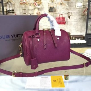 LOUIS VUITTON SPEEDY 25