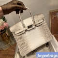 Hermes Birkin 25CM