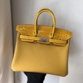 HERMES BIRKIN 25 ALL HANDMADE