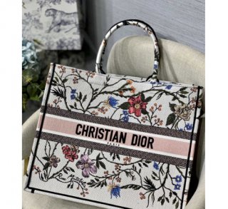 Dior Book Tote Bags