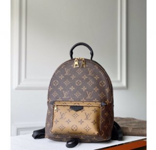 Louis Vuitton Backpack M44870