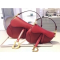 Dior Saddle Bag