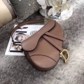 Dior Saddle Bag