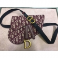 Dior Saddle Bag