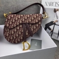 Dior Saddle Bag