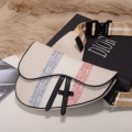 Dior Saddle Bag