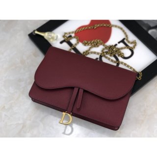 DIOR SADDLE BAG