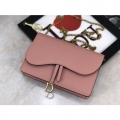 DIOR SADDLE BAG