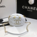 Chanel Camera Bag