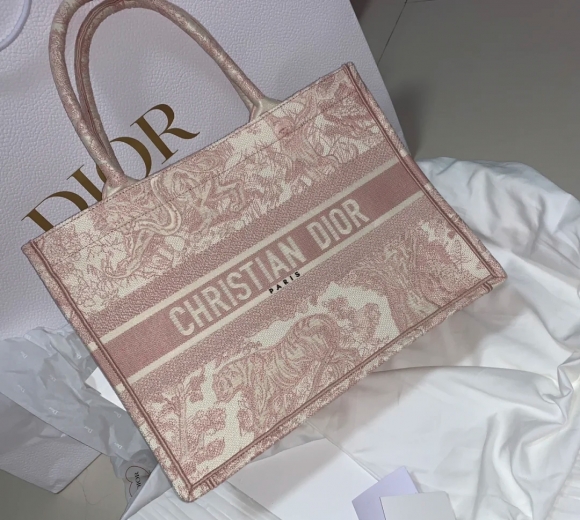 Dior Book Tote Bags