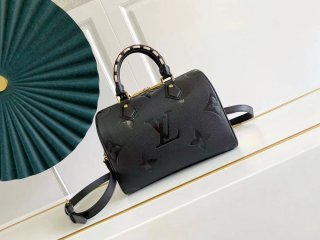 Louis Vuitton Speedy 20