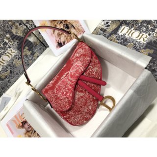 DIOR SADDLE BAG