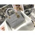 Lady Dior Handle Bag-24CM