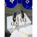 Dior Slides